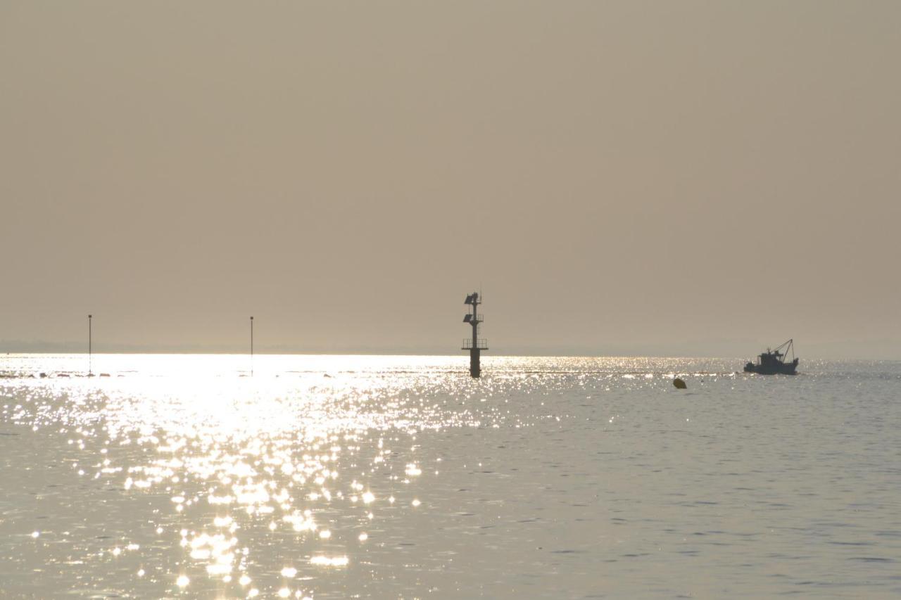 Gite "Au P'Tit Tourois" De Plain-Pied Tout Confort Avec Veranda Proche D'Omaha Beach Et De Bayeux Accueillant Les Animaux Εξωτερικό φωτογραφία