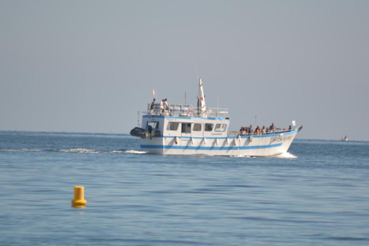 Gite "Au P'Tit Tourois" De Plain-Pied Tout Confort Avec Veranda Proche D'Omaha Beach Et De Bayeux Accueillant Les Animaux Εξωτερικό φωτογραφία