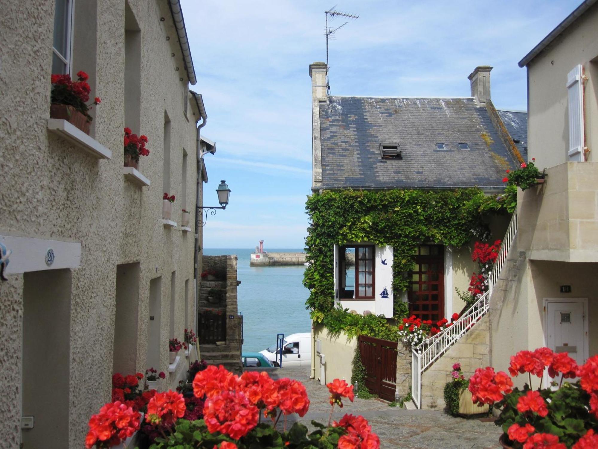 Gite "Au P'Tit Tourois" De Plain-Pied Tout Confort Avec Veranda Proche D'Omaha Beach Et De Bayeux Accueillant Les Animaux Εξωτερικό φωτογραφία